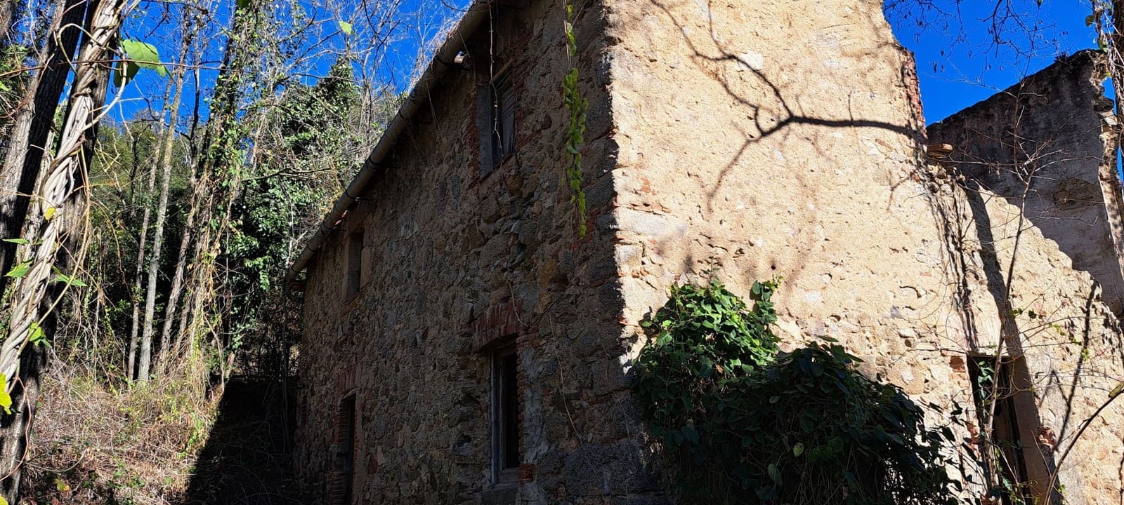 1 soveværelse Finca/Landehus til salg i Sant Feliu de Buixalleu - € 199.000 (Ref: 8693989)