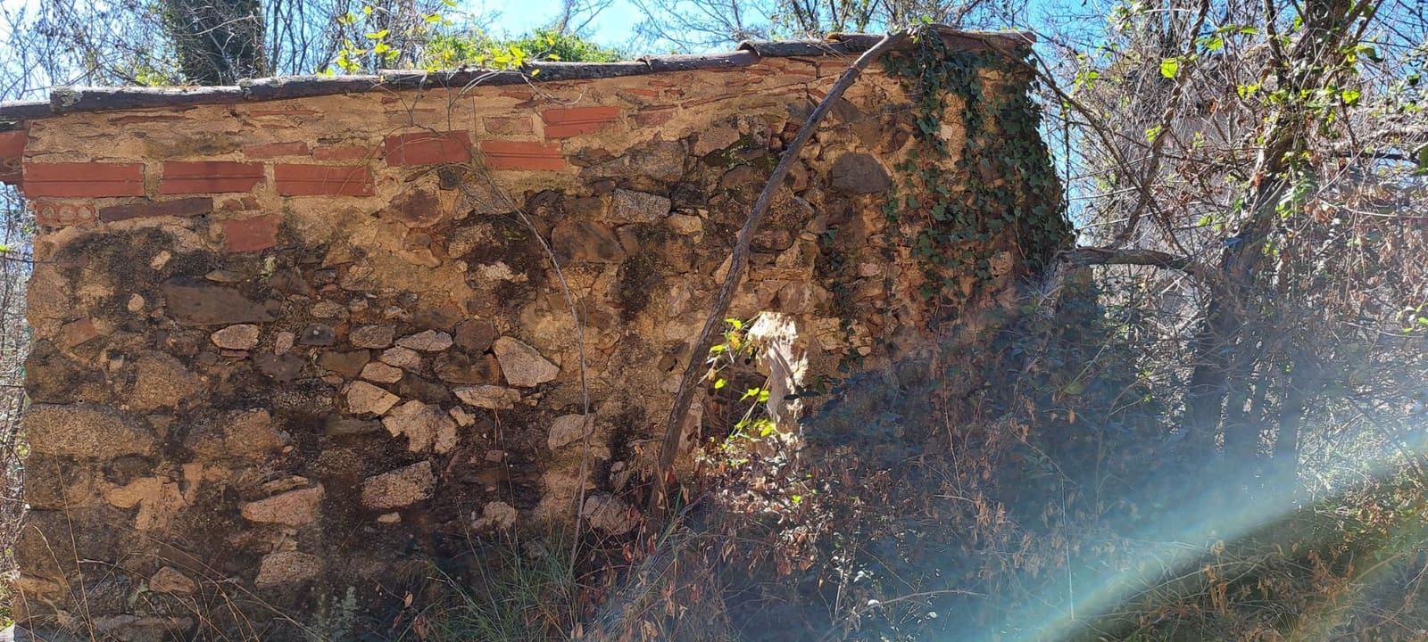 1 soveværelse Finca/Landehus til salg i Sant Feliu de Buixalleu - € 199.000 (Ref: 8693989)