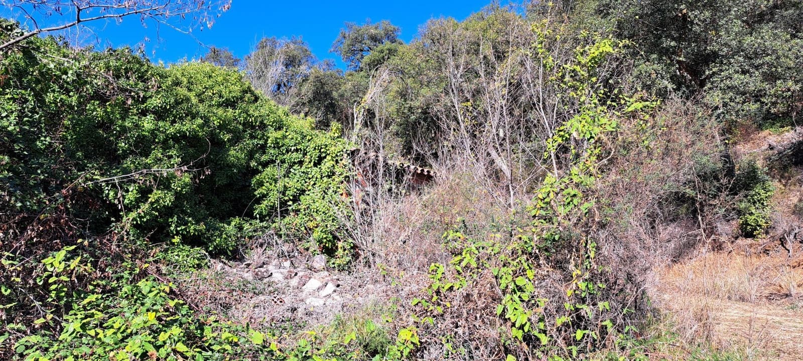 1 soveværelse Finca/Landehus til salg i Sant Feliu de Buixalleu - € 199.000 (Ref: 8693989)