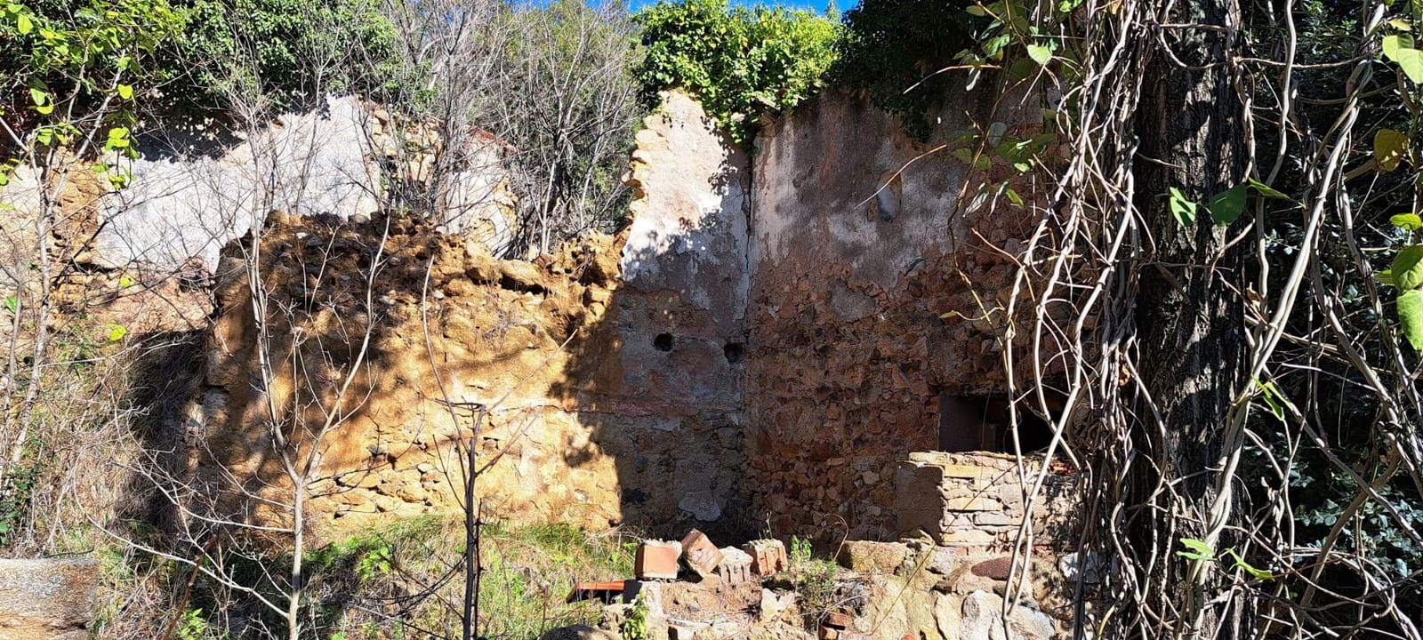 1 soveværelse Finca/Landehus til salg i Sant Feliu de Buixalleu - € 199.000 (Ref: 8693989)