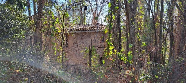 1 bedroom Finca/Country House for sale in Sant Feliu de Buixalleu - € 199,000 (Ref: 8693989)