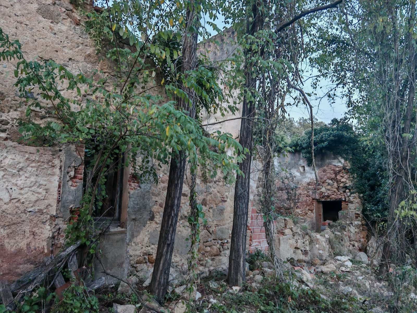 1 soveværelse Finca/Landehus til salg i Sant Feliu de Buixalleu - € 199.000 (Ref: 8693989)