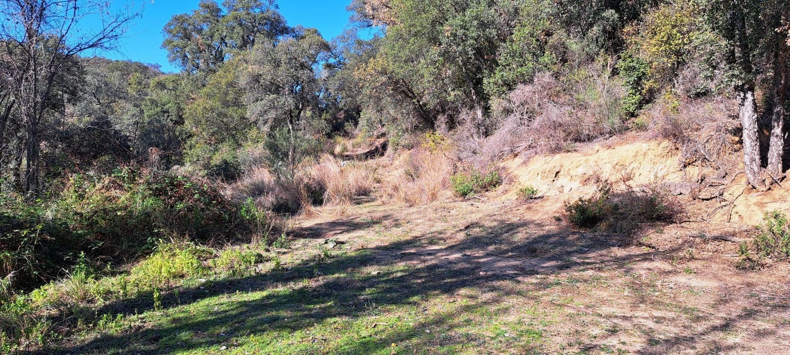 1 soveværelse Finca/Landehus til salg i Sant Feliu de Buixalleu - € 199.000 (Ref: 8693989)