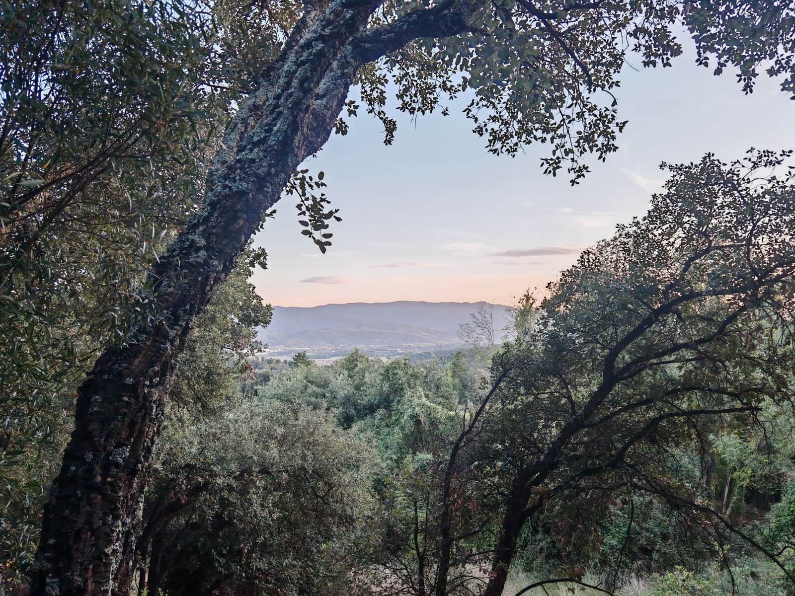 1 soveværelse Finca/Landehus til salg i Sant Feliu de Buixalleu - € 199.000 (Ref: 8693989)