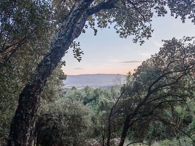 1 bedroom Finca/Country House for sale in Sant Feliu de Buixalleu - € 199,000 (Ref: 8693989)