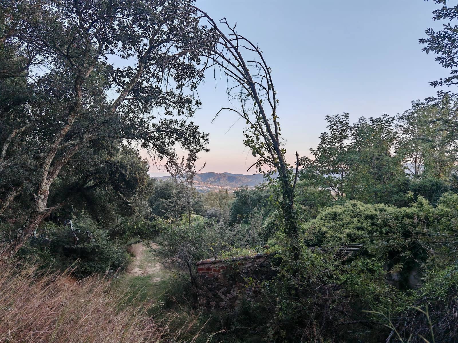 1 soveværelse Finca/Landehus til salg i Sant Feliu de Buixalleu - € 199.000 (Ref: 8693989)