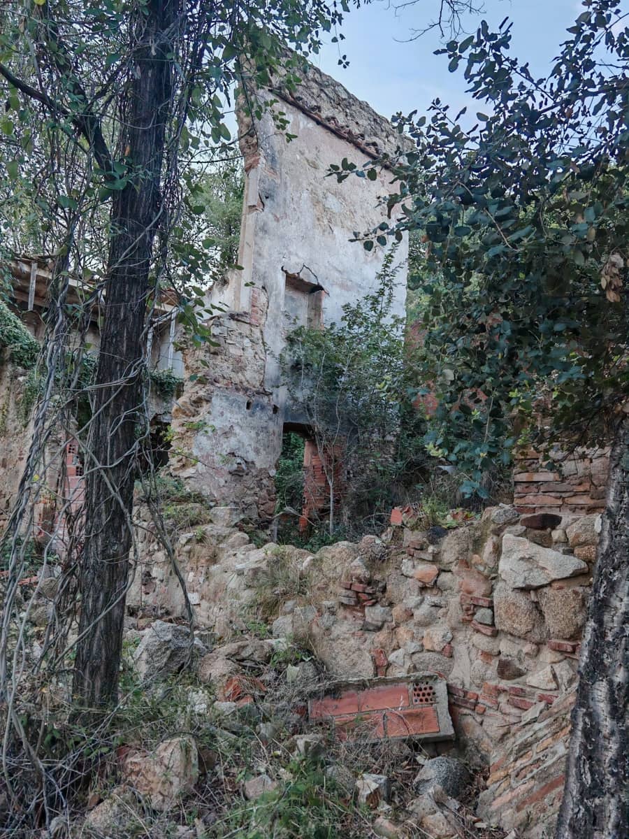 1 soveværelse Finca/Landehus til salg i Sant Feliu de Buixalleu - € 199.000 (Ref: 8693989)