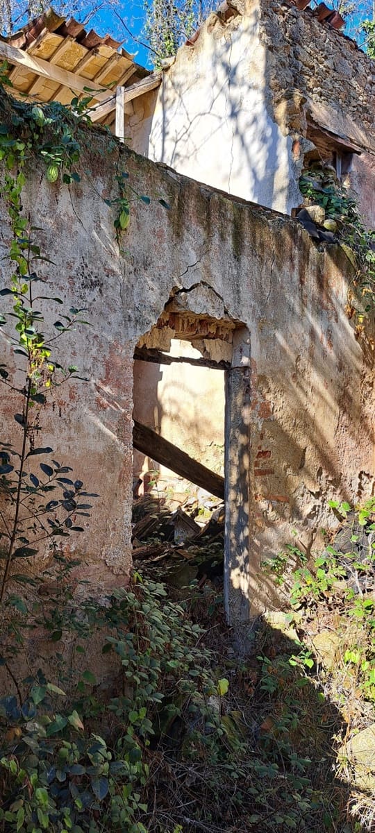 1 soveværelse Finca/Landehus til salg i Sant Feliu de Buixalleu - € 199.000 (Ref: 8693989)