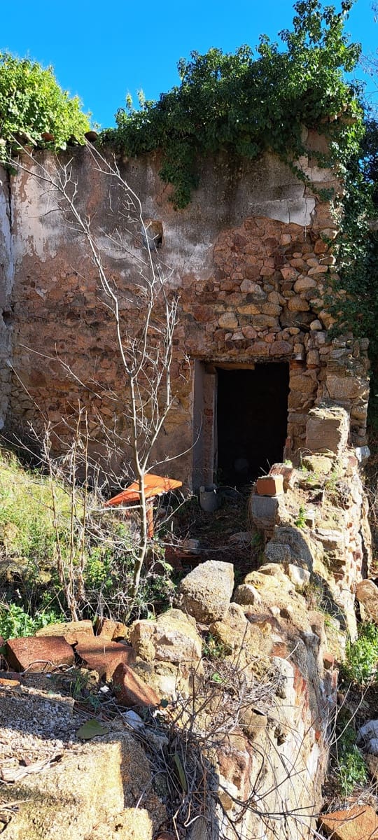 1 soveværelse Finca/Landehus til salg i Sant Feliu de Buixalleu - € 199.000 (Ref: 8693989)