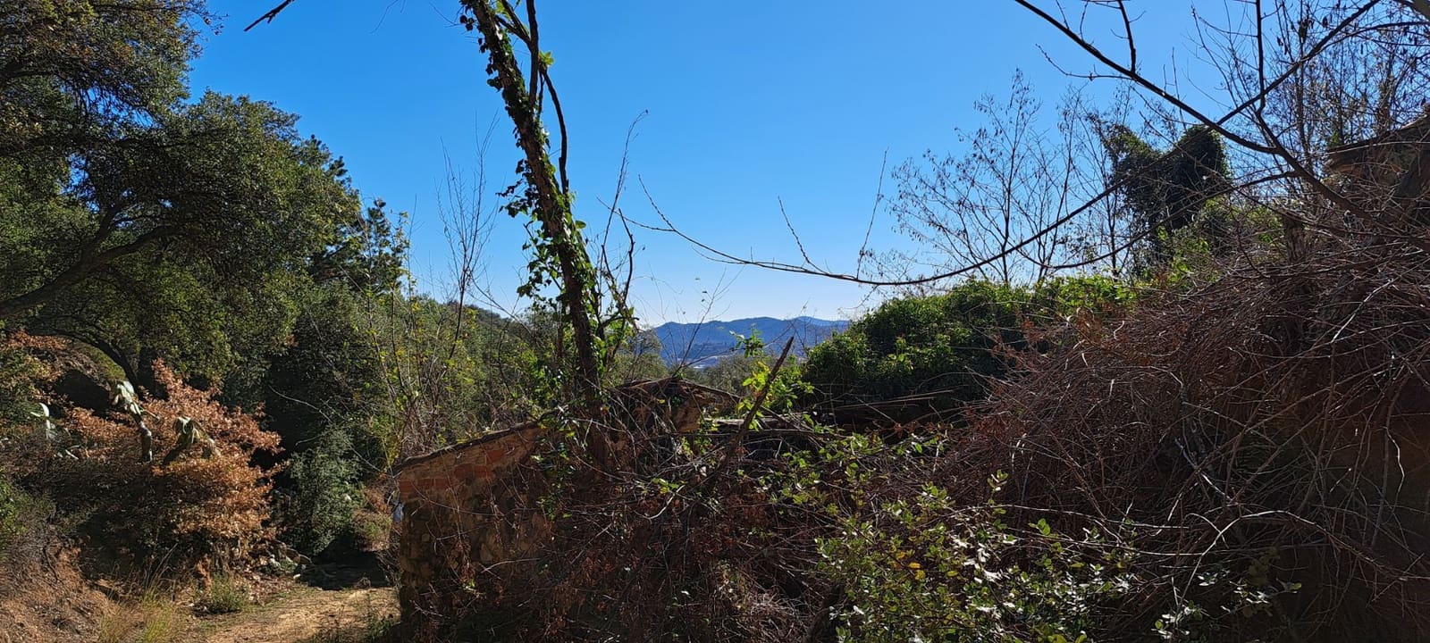 1 soveværelse Finca/Landehus til salg i Sant Feliu de Buixalleu - € 199.000 (Ref: 8693989)