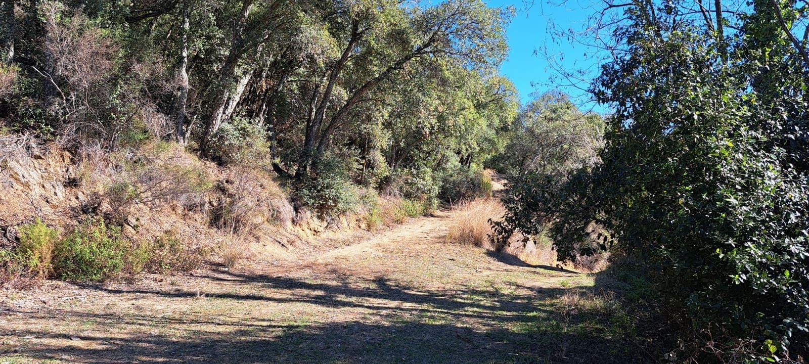 1 soveværelse Finca/Landehus til salg i Sant Feliu de Buixalleu - € 199.000 (Ref: 8693989)