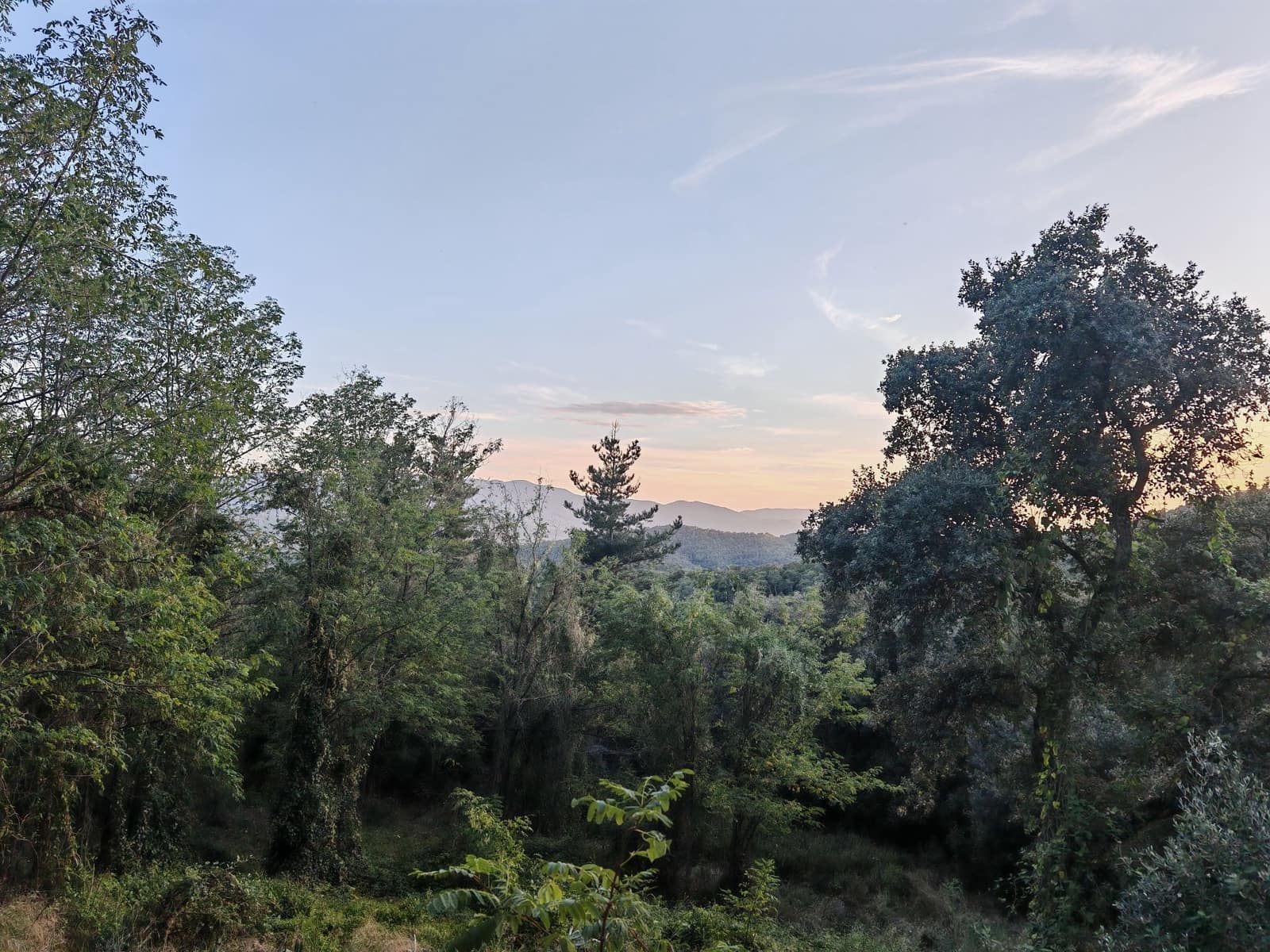 1 soveværelse Finca/Landehus til salg i Sant Feliu de Buixalleu - € 199.000 (Ref: 8693989)