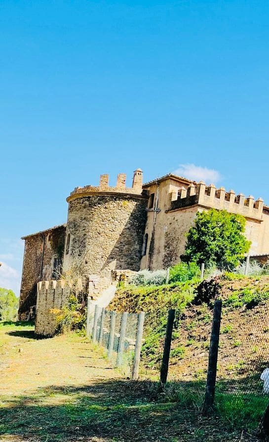 9 soveværelse Finca/Landehus til salg i Camos - € 685.000 (Ref: 8693993)