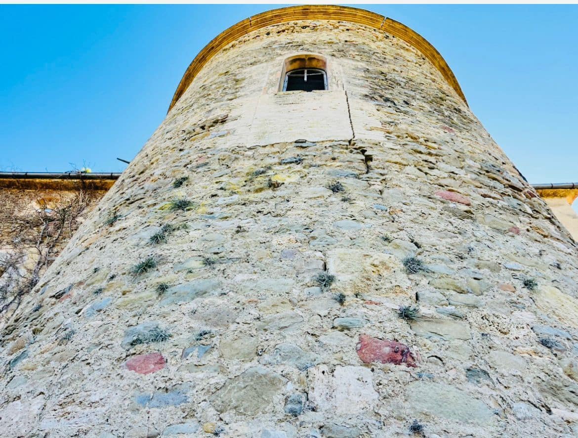 9 soveværelse Finca/Landehus til salg i Camos - € 685.000 (Ref: 8693993)