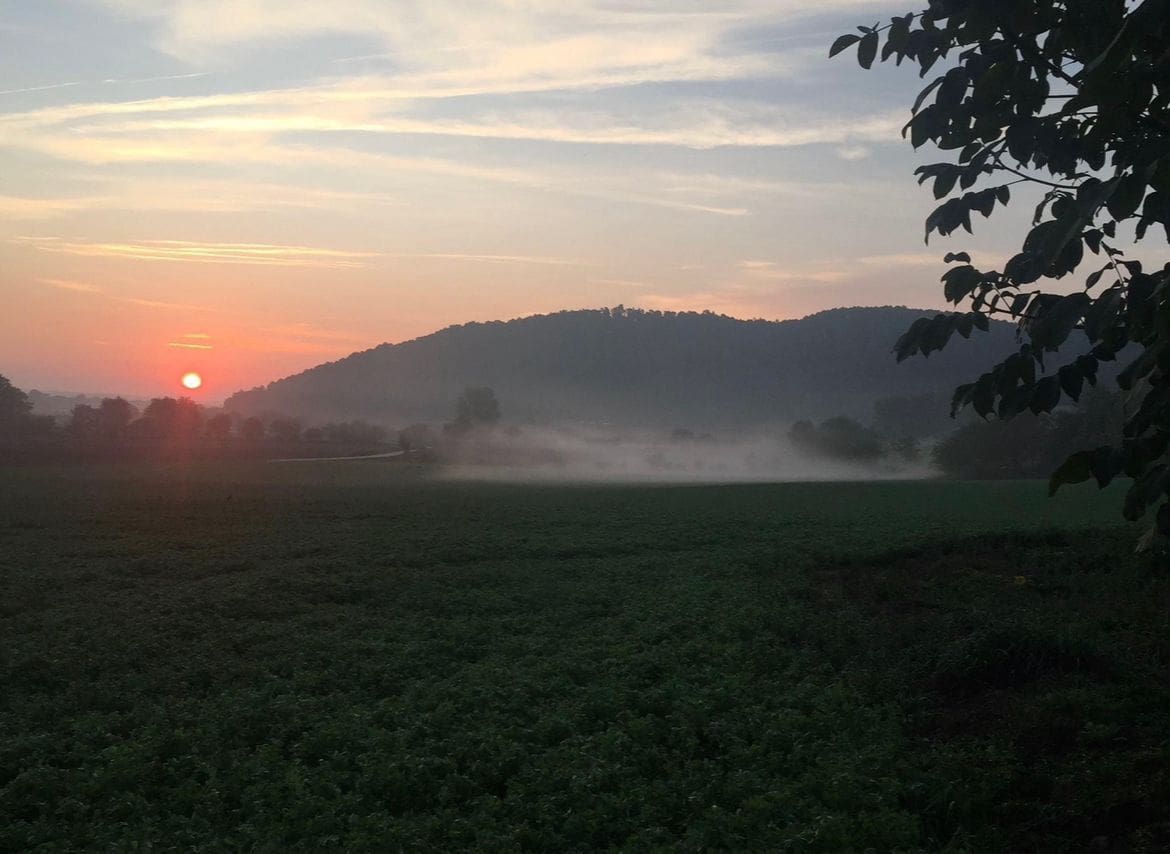 9 soveværelse Finca/Landehus til salg i Camos - € 685.000 (Ref: 8693993)