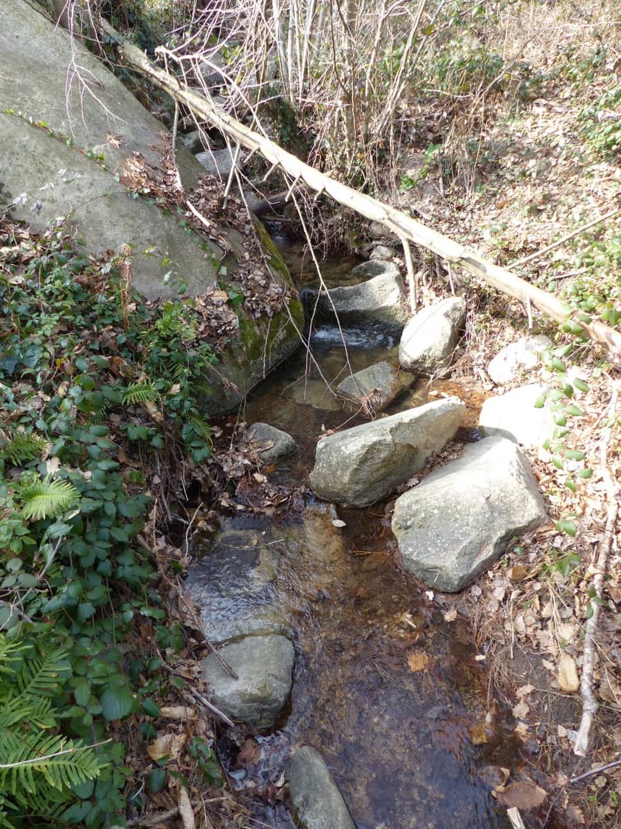 4 soveværelse Finca/Landehus til salg i Montseny - € 450.000 (Ref: 8694720)