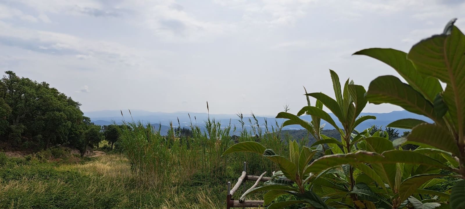 6 soverom Finca/Herregård til salgs i Montseny - € 650 000 (Ref: 8694724)