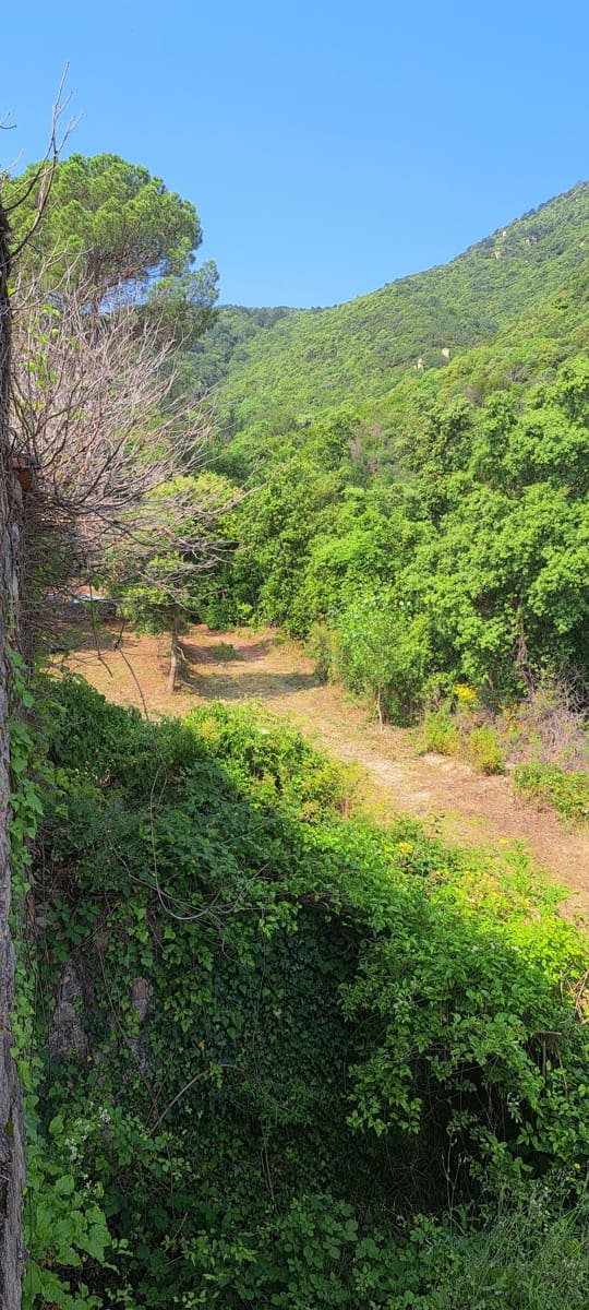 6 soverom Finca/Herregård til salgs i Montseny - € 650 000 (Ref: 8694724)