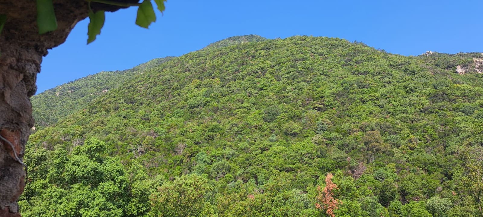 6 soverom Finca/Herregård til salgs i Montseny - € 650 000 (Ref: 8694724)