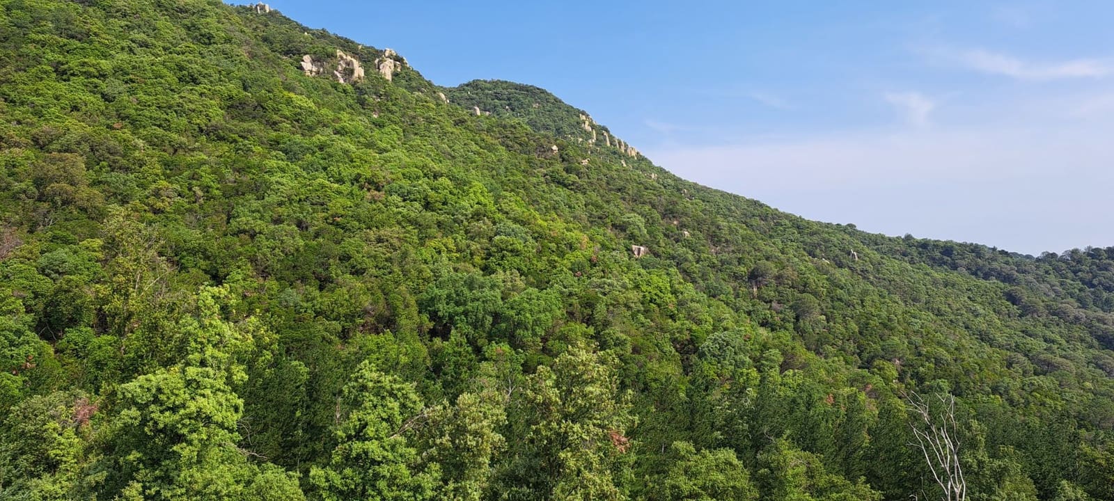 6 soverom Finca/Herregård til salgs i Montseny - € 650 000 (Ref: 8694724)