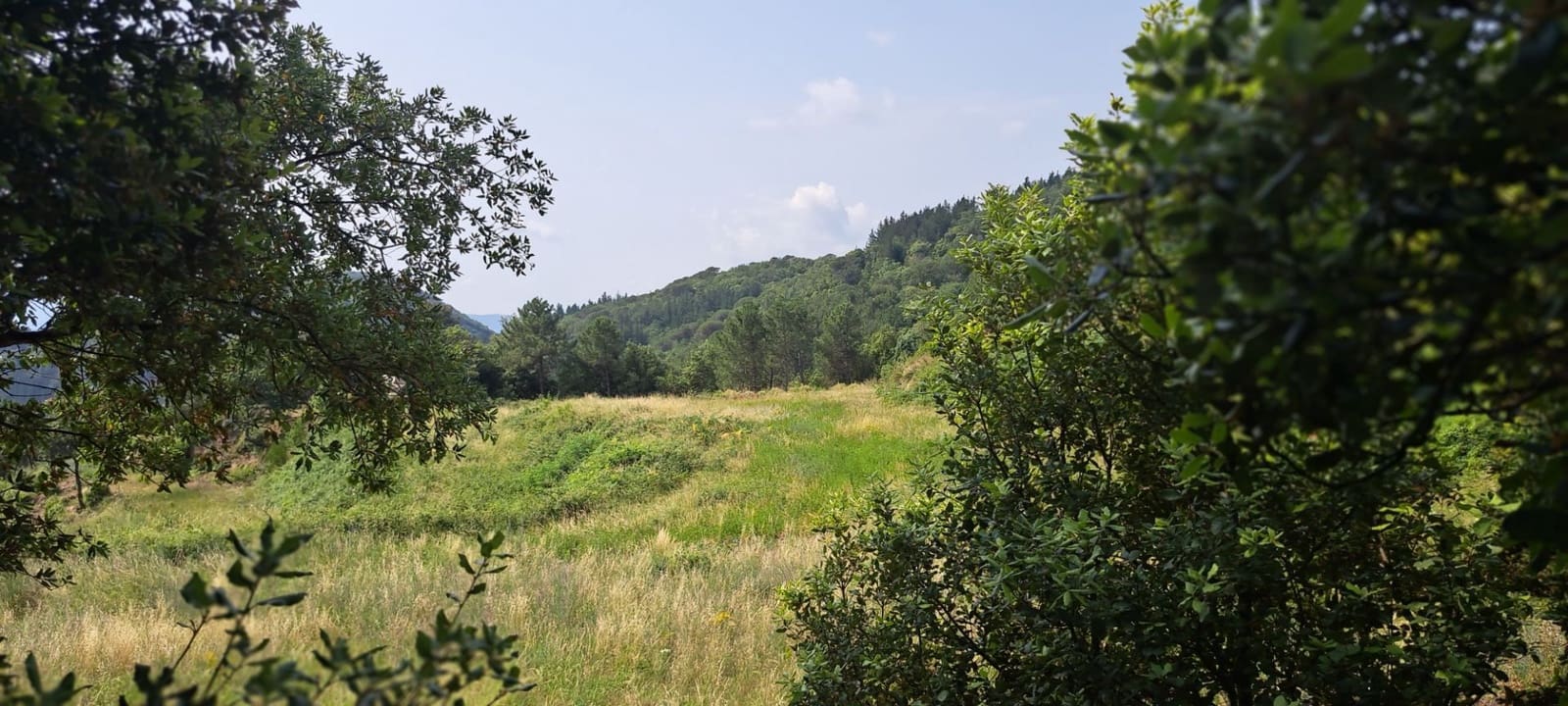 6 soverom Finca/Herregård til salgs i Montseny - € 650 000 (Ref: 8694724)