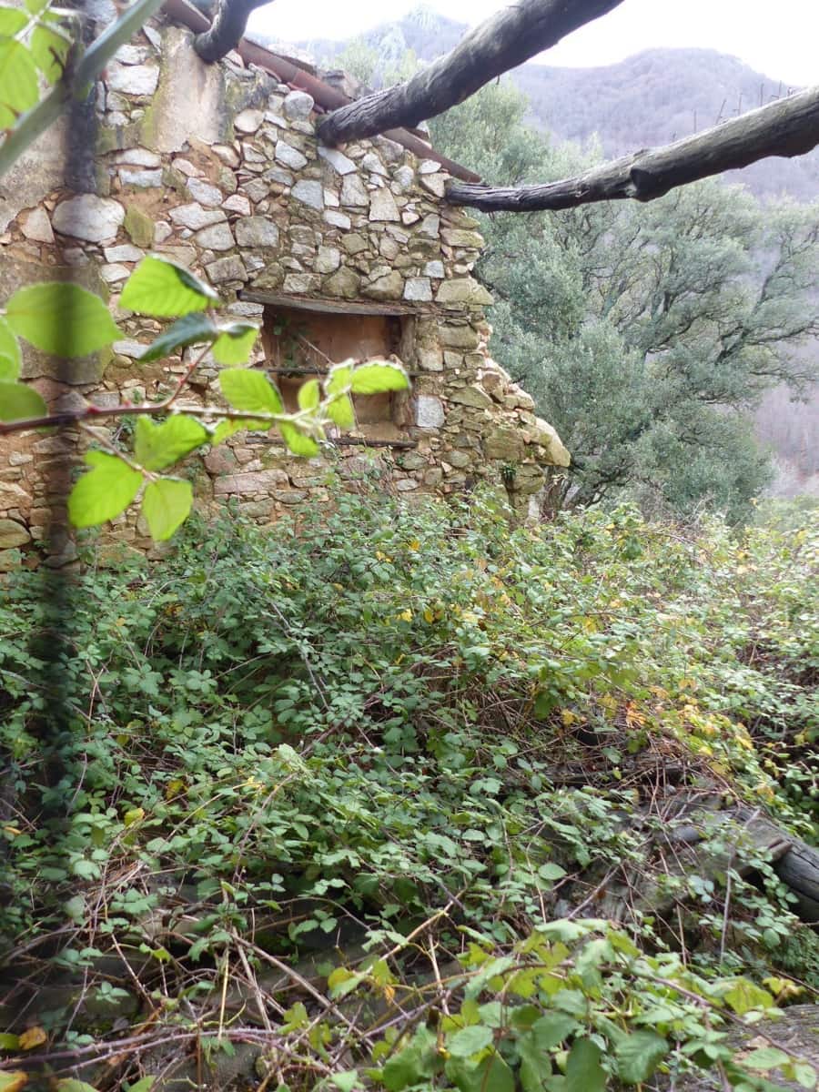 1 chambre Finca/Maison de Campagne à vendre à Montseny - 250 000 € (Ref: 8694725)