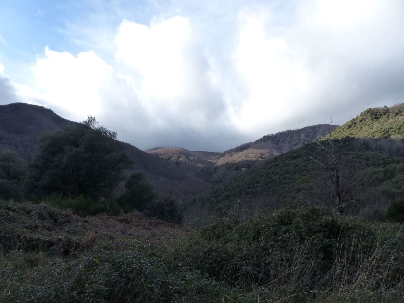 1 chambre Finca/Maison de Campagne à vendre à Montseny - 250 000 € (Ref: 8694725)