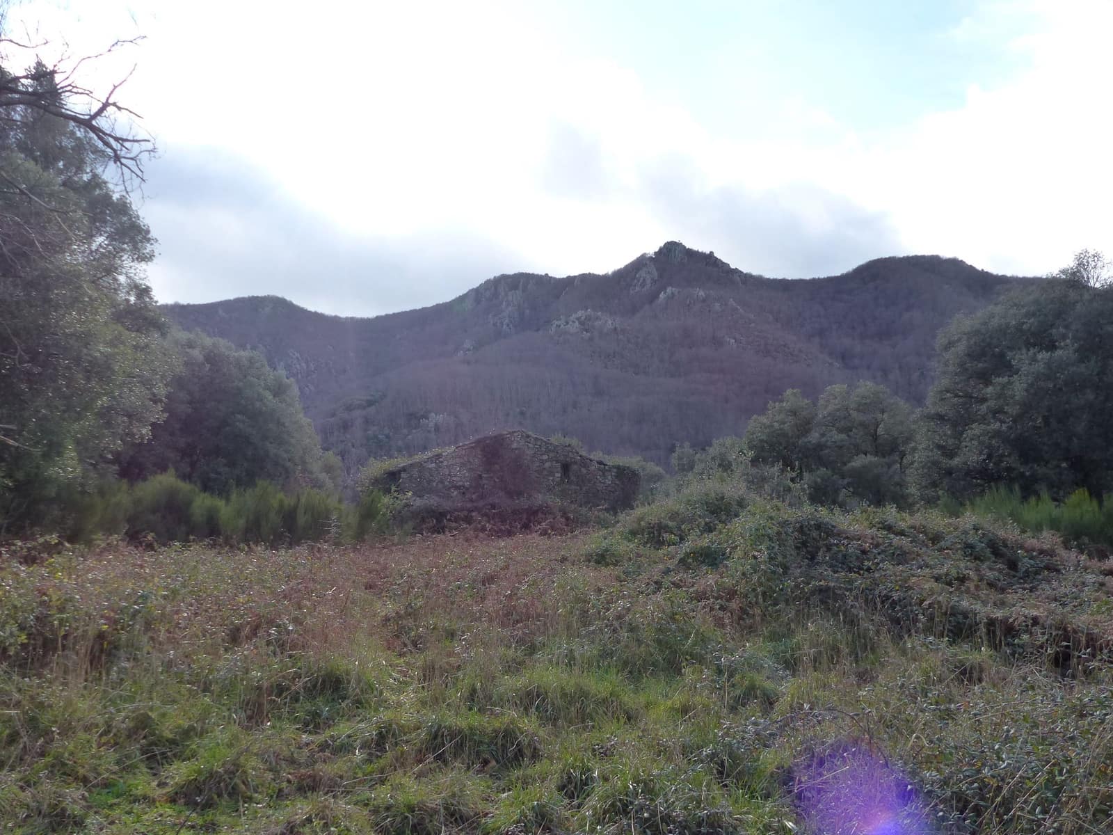 1 chambre Finca/Maison de Campagne à vendre à Montseny - 250 000 € (Ref: 8694725)