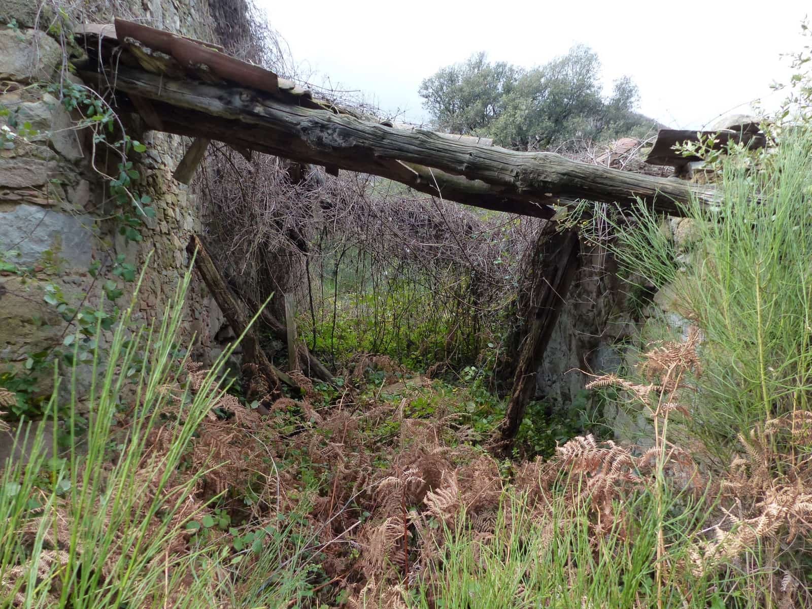 1 chambre Finca/Maison de Campagne à vendre à Montseny - 250 000 € (Ref: 8694725)