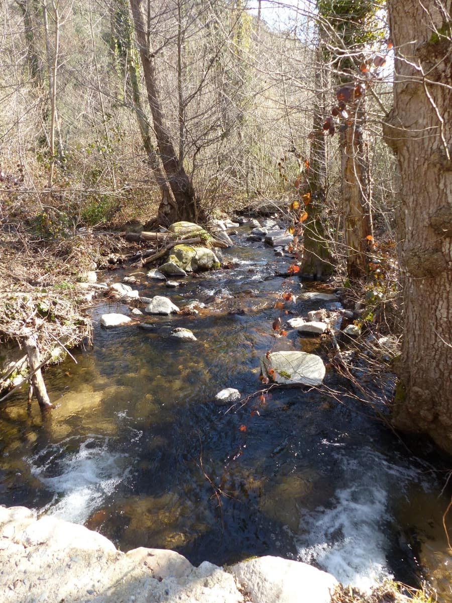 8 camera da letto Finca/Casa di Campagna in vendita in Montseny - 850.000 € (Rif: 8694728)