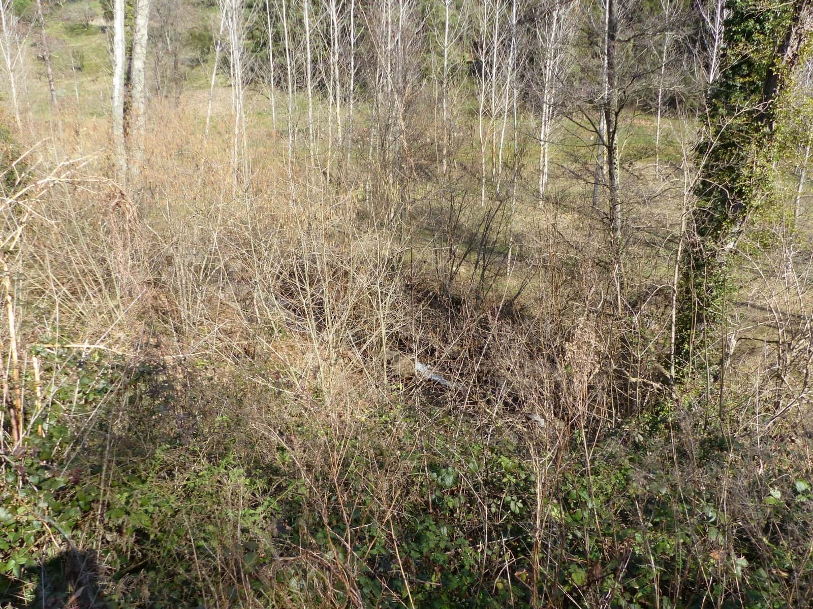 8 camera da letto Finca/Casa di Campagna in vendita in Montseny - 850.000 € (Rif: 8694728)