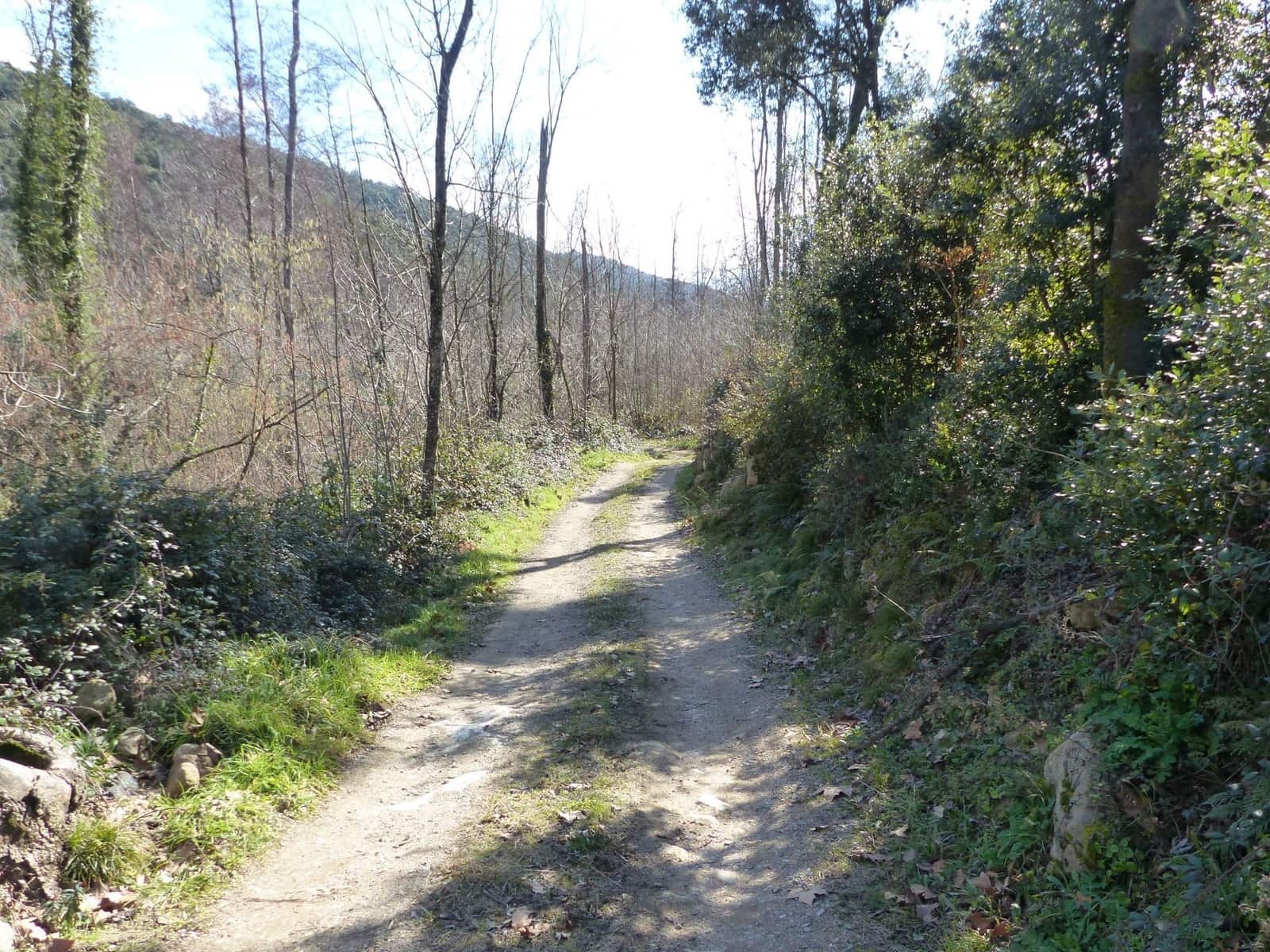 8 camera da letto Finca/Casa di Campagna in vendita in Montseny - 850.000 € (Rif: 8694728)