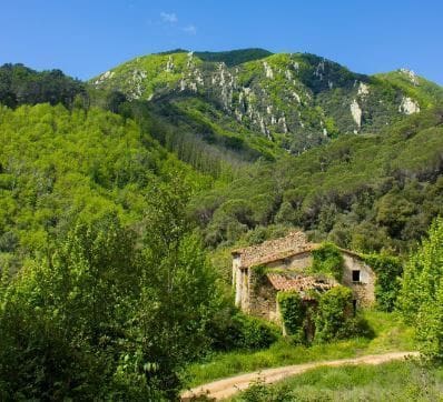 1 slaapkamer Finca/Landhuis te koop in Riells i Viabrea - € 1.900.000 (Ref: 8694729)