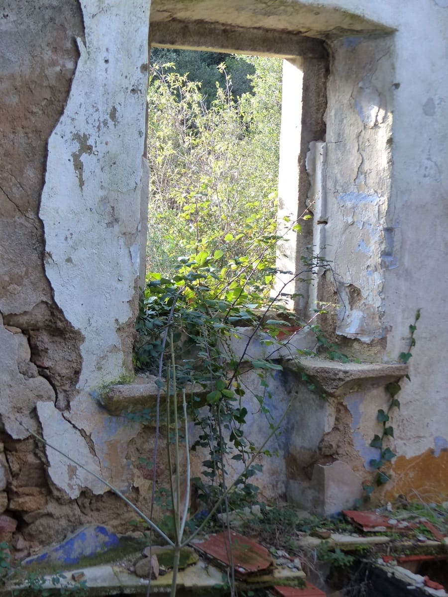 1 slaapkamer Finca/Landhuis te koop in Riells i Viabrea - € 1.900.000 (Ref: 8694729)