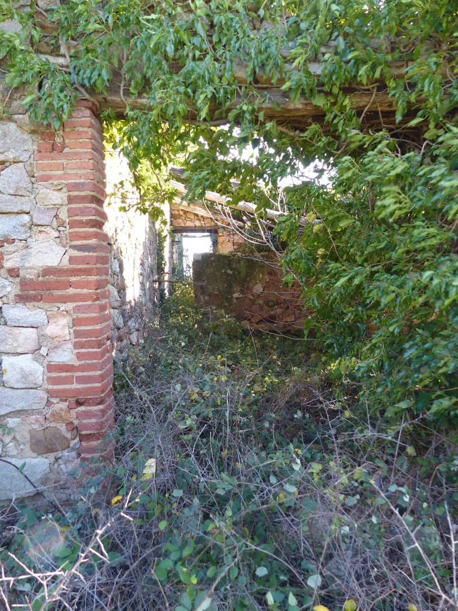 1 slaapkamer Finca/Landhuis te koop in Riells i Viabrea - € 1.900.000 (Ref: 8694729)