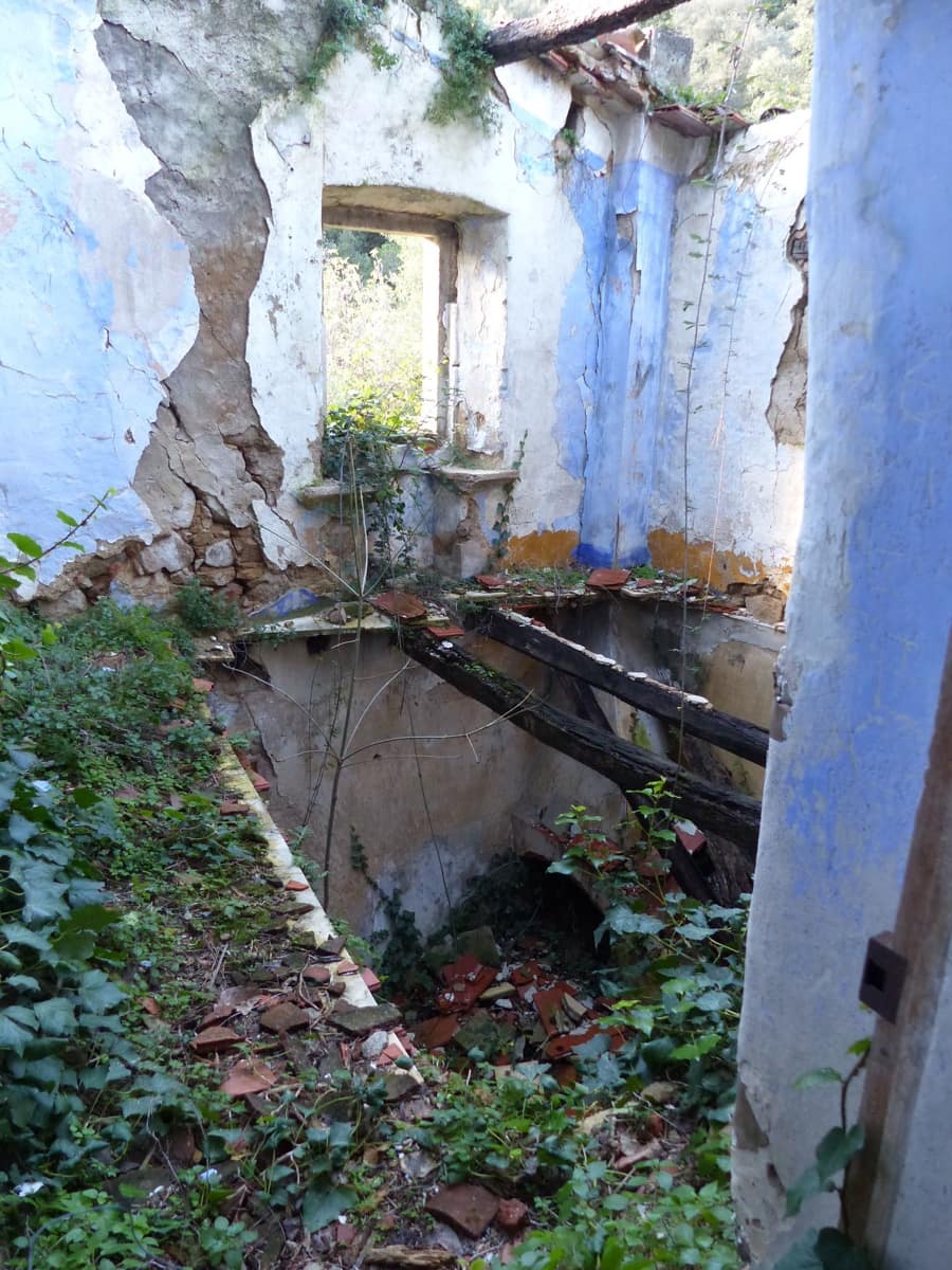 1 slaapkamer Finca/Landhuis te koop in Riells i Viabrea - € 1.900.000 (Ref: 8694729)