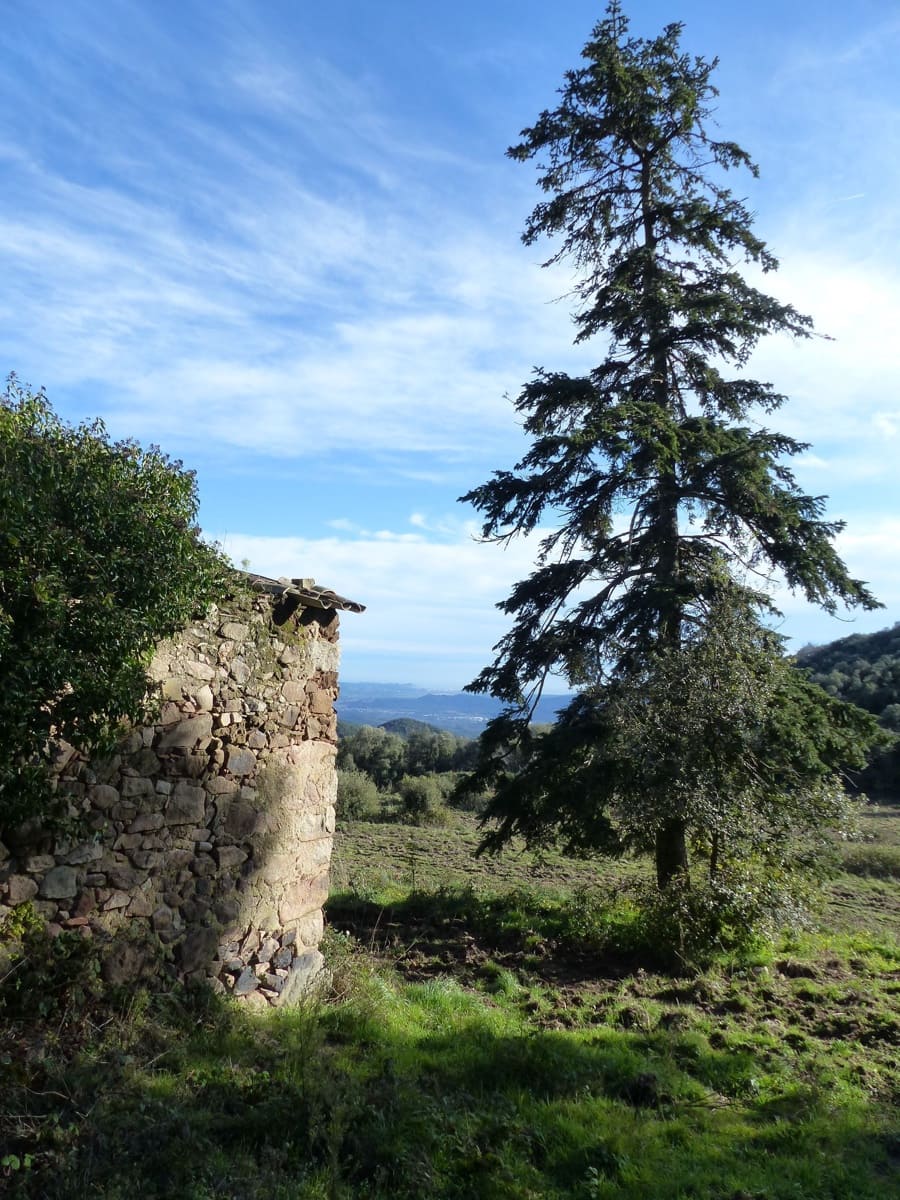 1 slaapkamer Finca/Landhuis te koop in Riells i Viabrea - € 1.900.000 (Ref: 8694729)