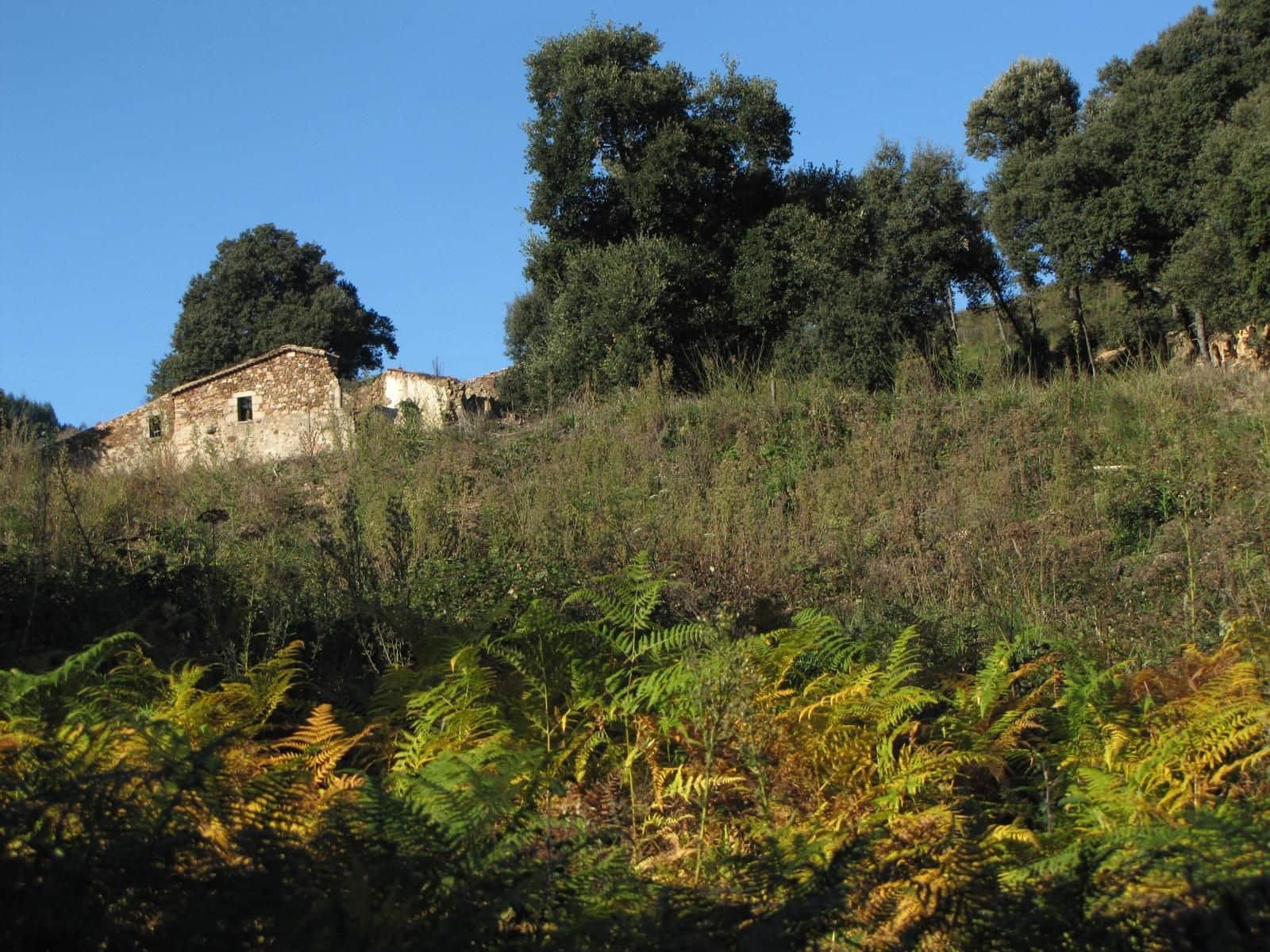 1 slaapkamer Finca/Landhuis te koop in Riells i Viabrea - € 1.900.000 (Ref: 8694729)