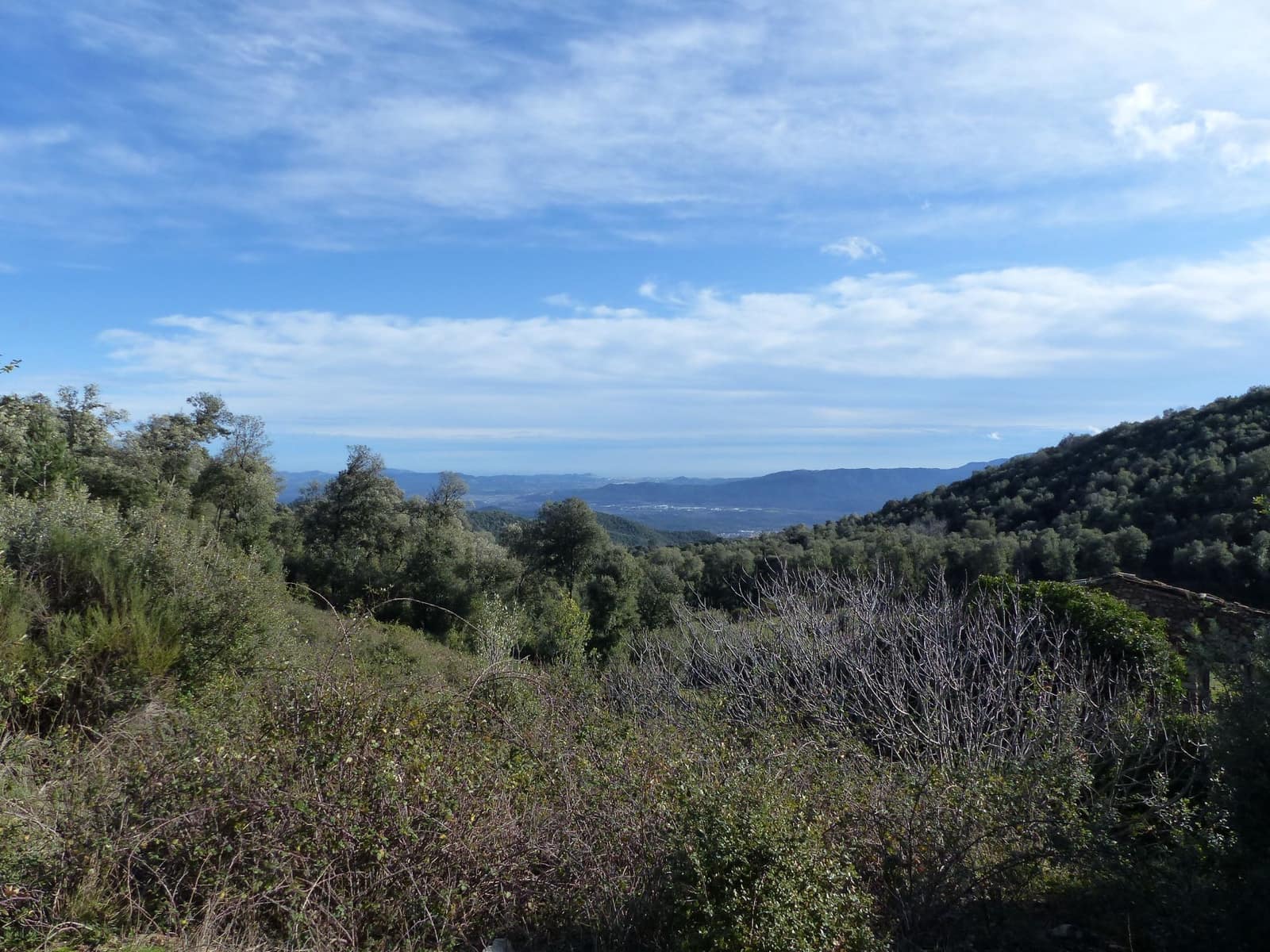 1 slaapkamer Finca/Landhuis te koop in Riells i Viabrea - € 1.900.000 (Ref: 8694729)