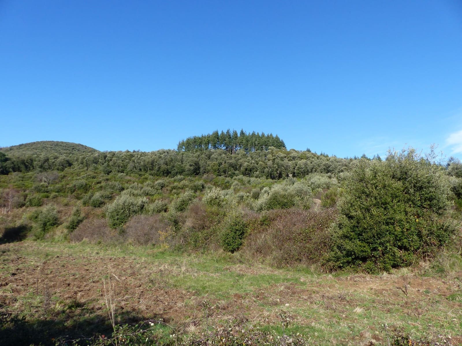 1 slaapkamer Finca/Landhuis te koop in Riells i Viabrea - € 1.900.000 (Ref: 8694729)