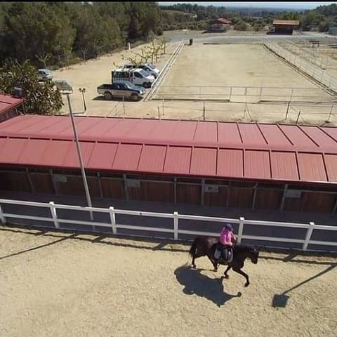 1 soverom Finca/Herregård til salgs i Montroig-Mar, Mont-roig del Camp - € 800 000 (Ref: 8694735)