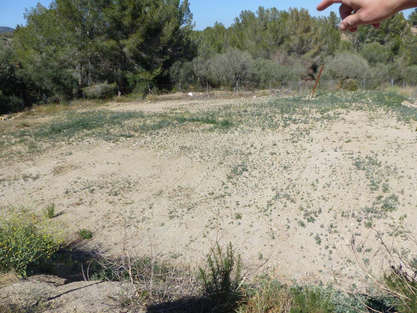 1 bedroom Finca/Country House for sale in Montroig-Mar - € 800,000 (Ref: 8694735)