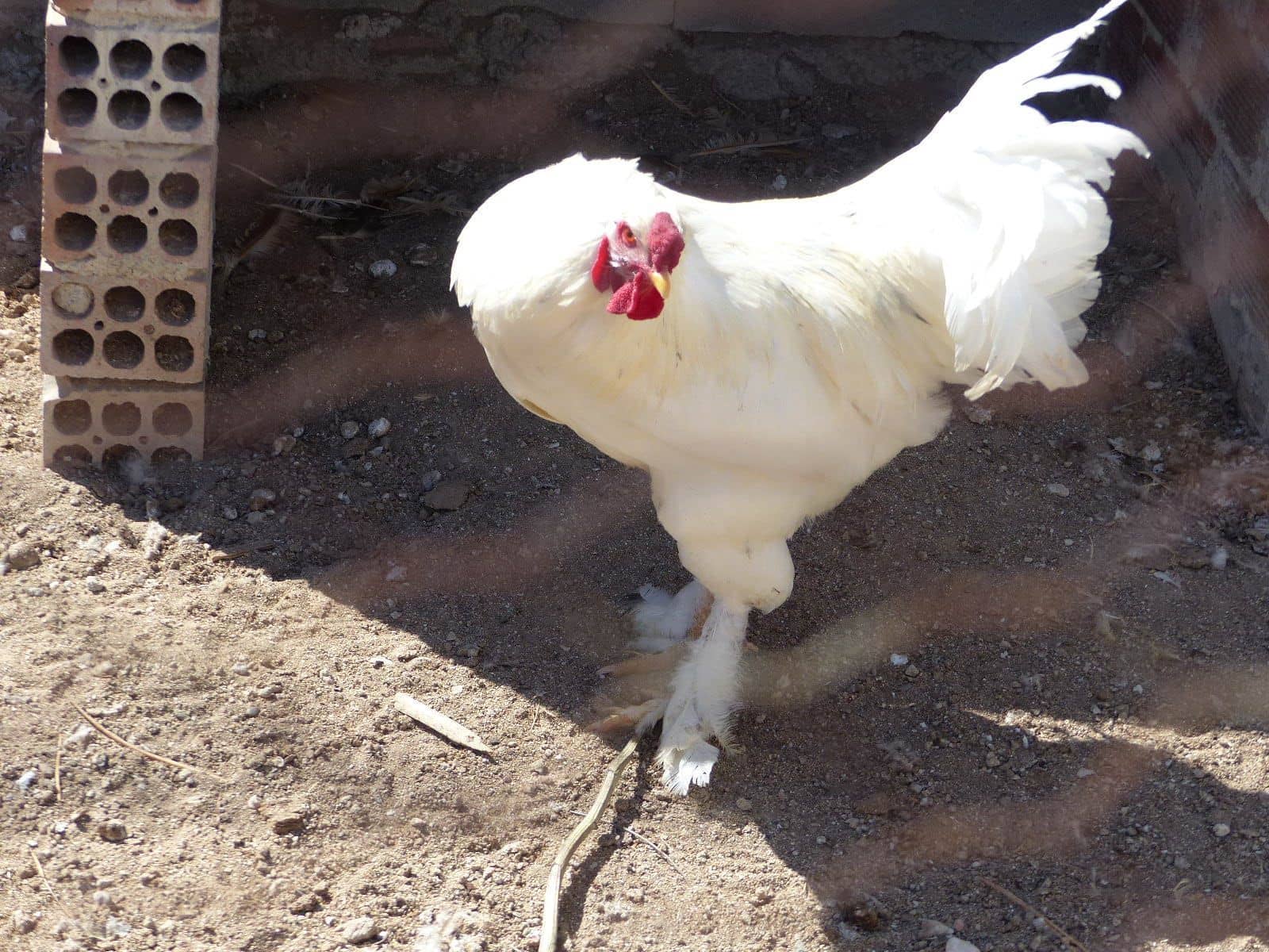 1 bedroom Finca/Country House for sale in Montroig-Mar - € 800,000 (Ref: 8694735)