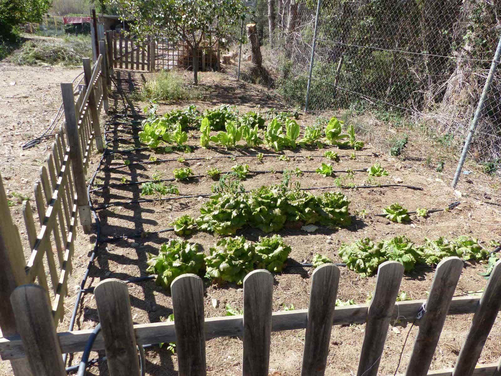 1 bedroom Finca/Country House for sale in Montroig-Mar - € 800,000 (Ref: 8694735)