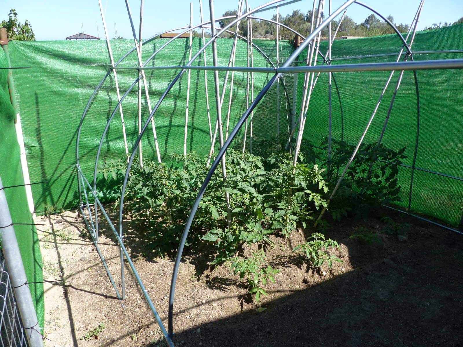 1 bedroom Finca/Country House for sale in Montroig-Mar - € 800,000 (Ref: 8694735)