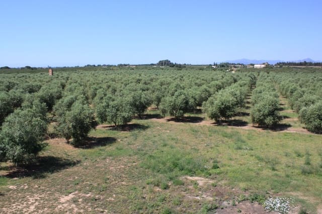 8 bedroom Finca/Country House for sale in Riudoms with pool - € 850,000 (Ref: 8694736)