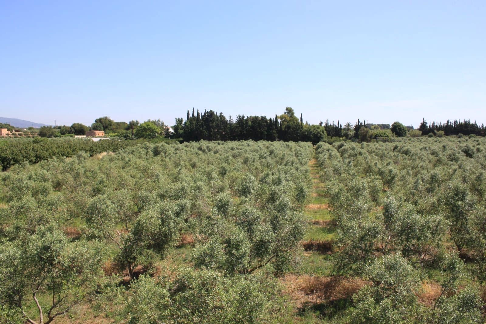 8 slaapkamer Finca/Landhuis te koop in Riudoms met zwembad - € 850.000 (Ref: 8694736)