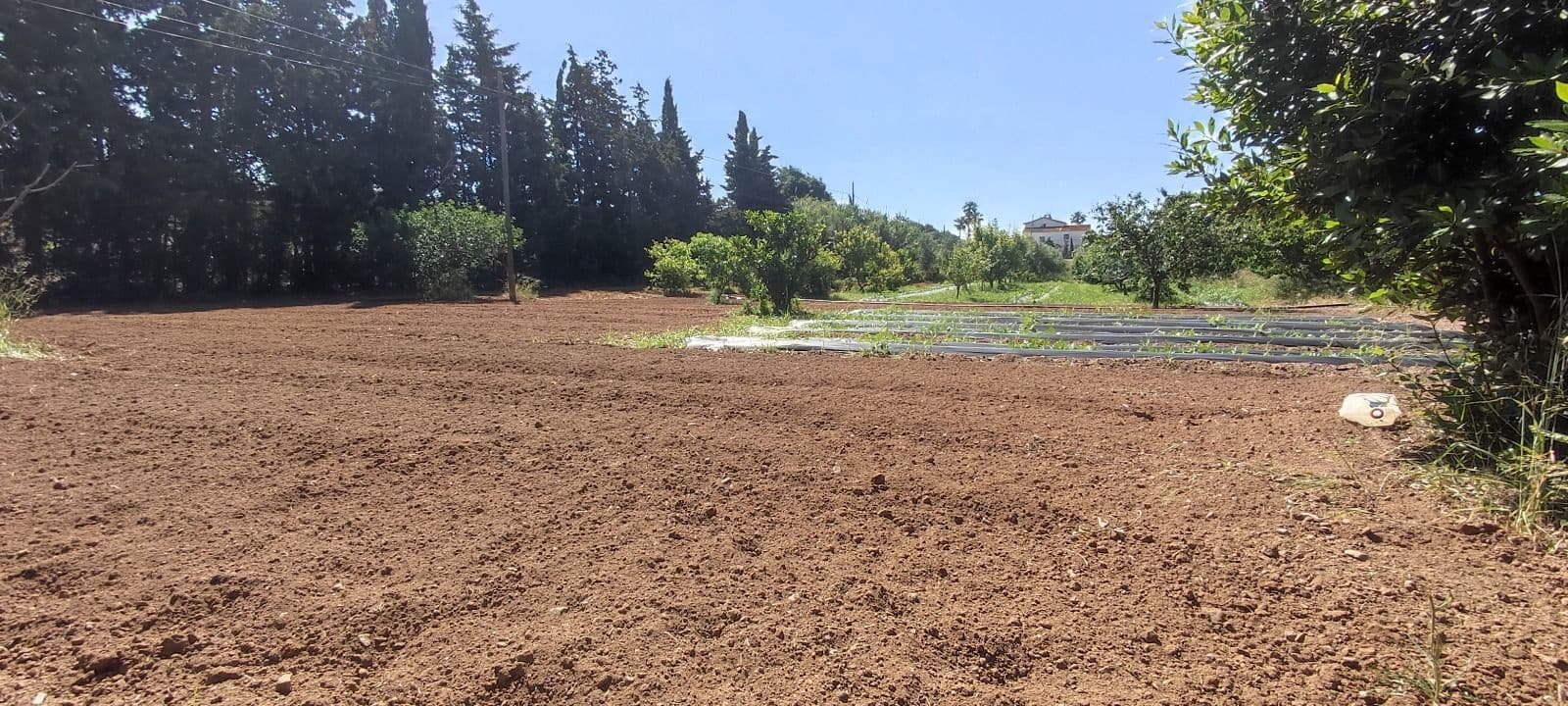 8 slaapkamer Finca/Landhuis te koop in Riudoms met zwembad - € 850.000 (Ref: 8694736)