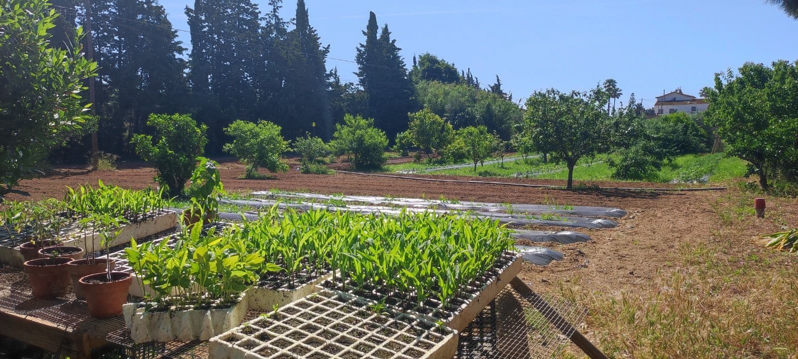 8 slaapkamer Finca/Landhuis te koop in Riudoms met zwembad - € 850.000 (Ref: 8694736)