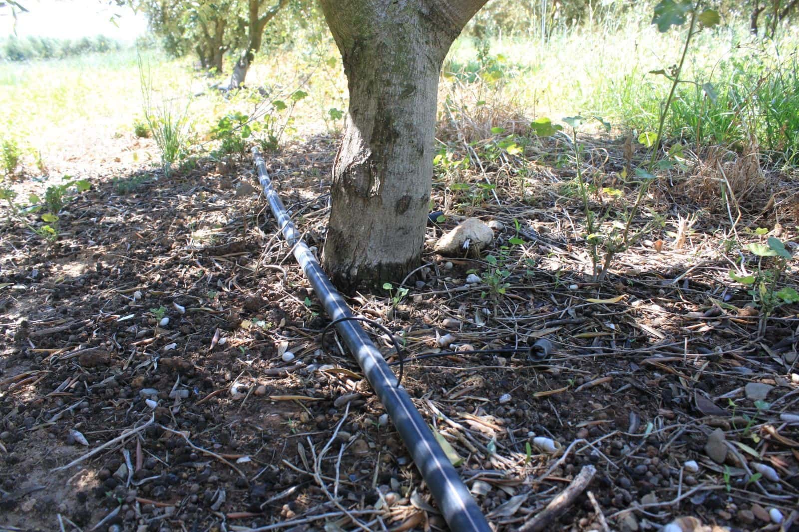 8 slaapkamer Finca/Landhuis te koop in Riudoms met zwembad - € 850.000 (Ref: 8694736)